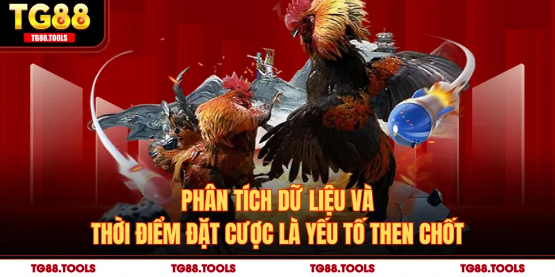 Phân tích dữ liệu và thời điểm đặt cược là yếu tố then chốt